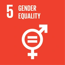 United Nations Sustainable Development Goal 5, gender equality