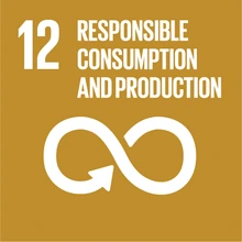 United Nations Sustainable Development Goal 12, responsible consumption and production